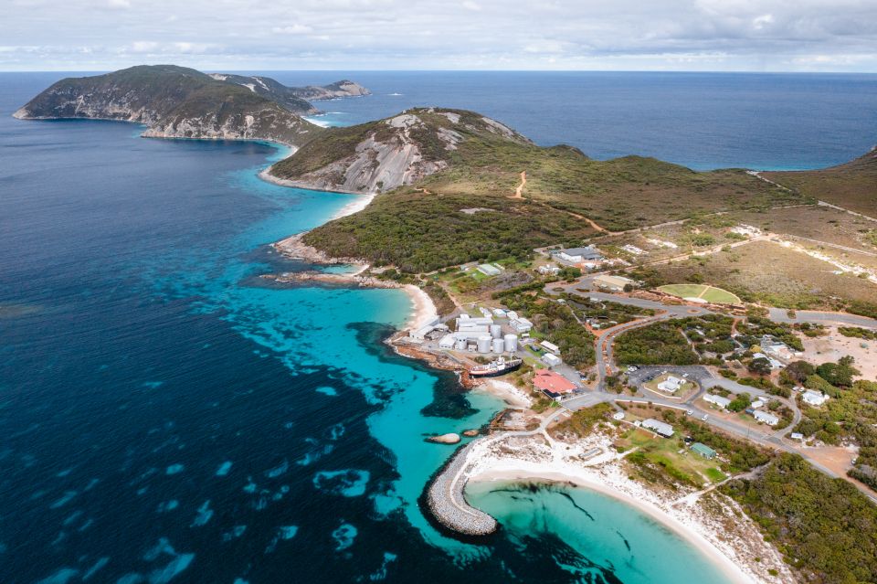 Albanys Whale Story - Key Points