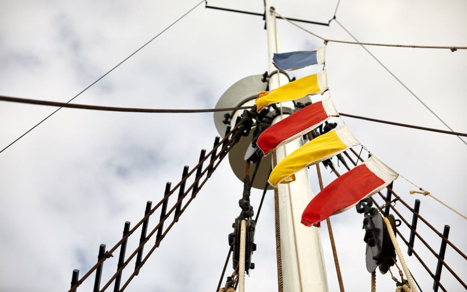 Albanys Whale Story - Frequently Asked Questions