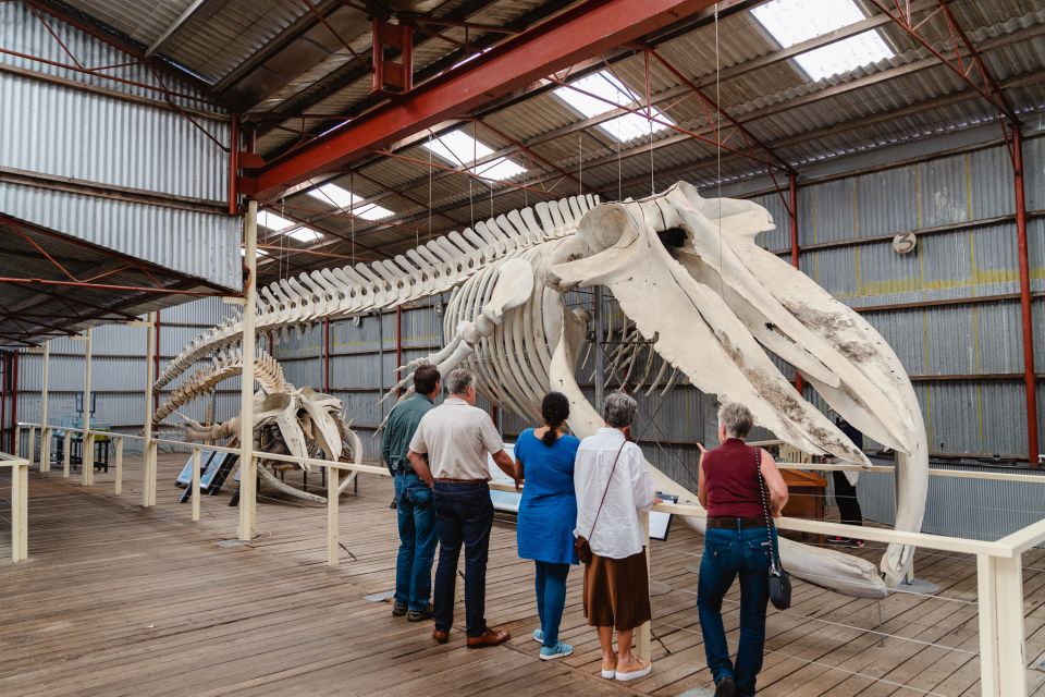 Albanys Whale Story - Recap