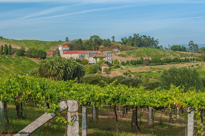 Albariño Private Wine Tour From Santiago De Compostela - Traveler Feedback and Experiences