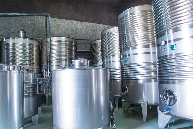 Albariño Trails Private Wine Tour/Shore Excursion From Vigo - Winery Visits and Tastings