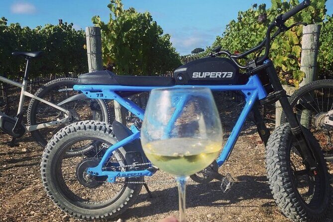 Albatross Ridge Vineyards Electric Bike Tour & Wine Tasting - Practical Details and What to Expect