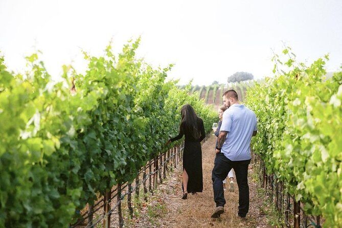 Albatross Ridge Vineyards Electric Bike Tour & Wine Tasting - FAQ