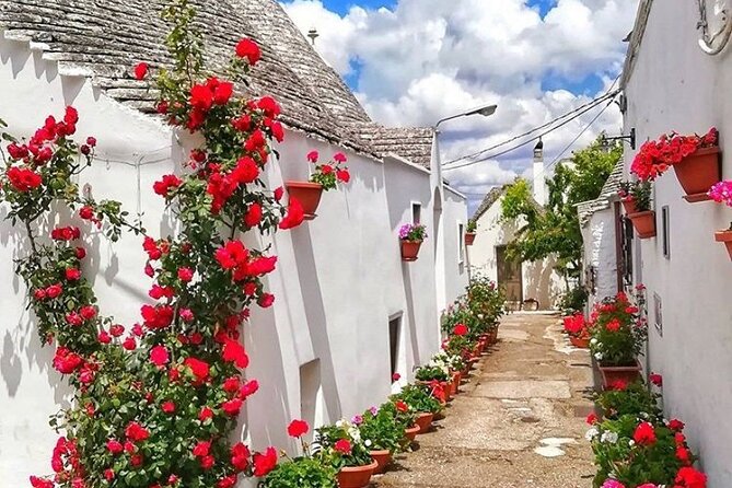 Alberobello and Wine & Food Tasting Private Tour - Savoring Local Wines