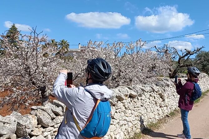 Alberobello Ebike Tour Villages Puglia - Historic Alberobello and Locorotondo