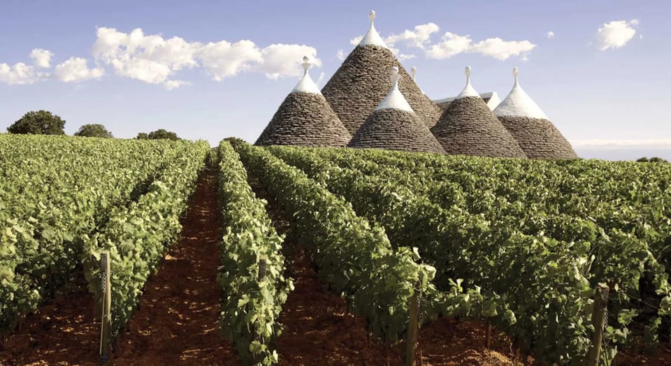 Alberobello: Half-Day Trip from Bari - A Detailed Look at What to Expect