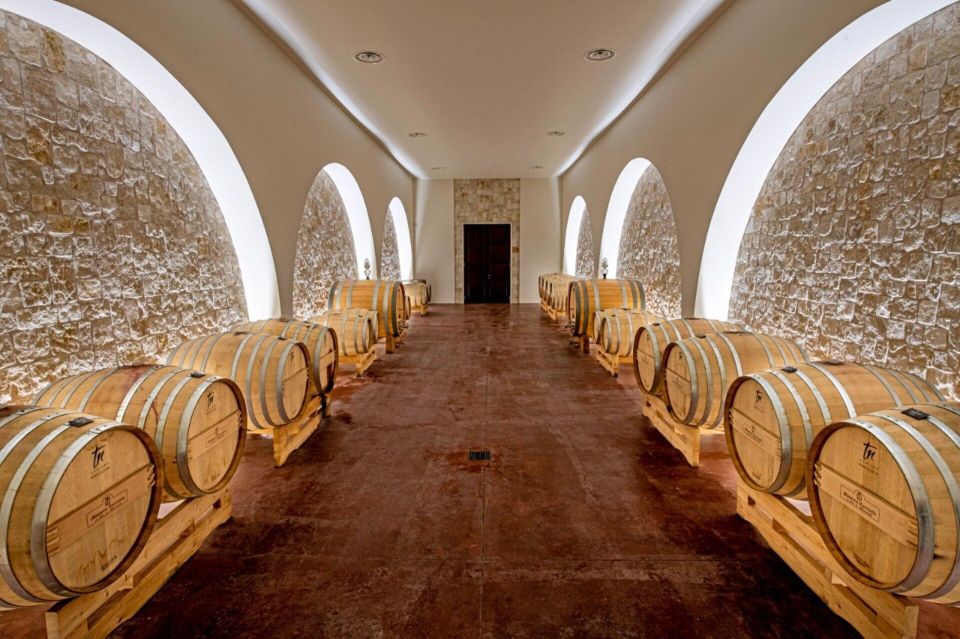 Alberobello: Winery Tour With Wine and Food Tasting - What to Expect