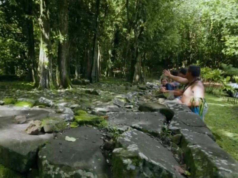 Albert Tours Excursion Safari - Moorea Safari tours&pick up - Key Points