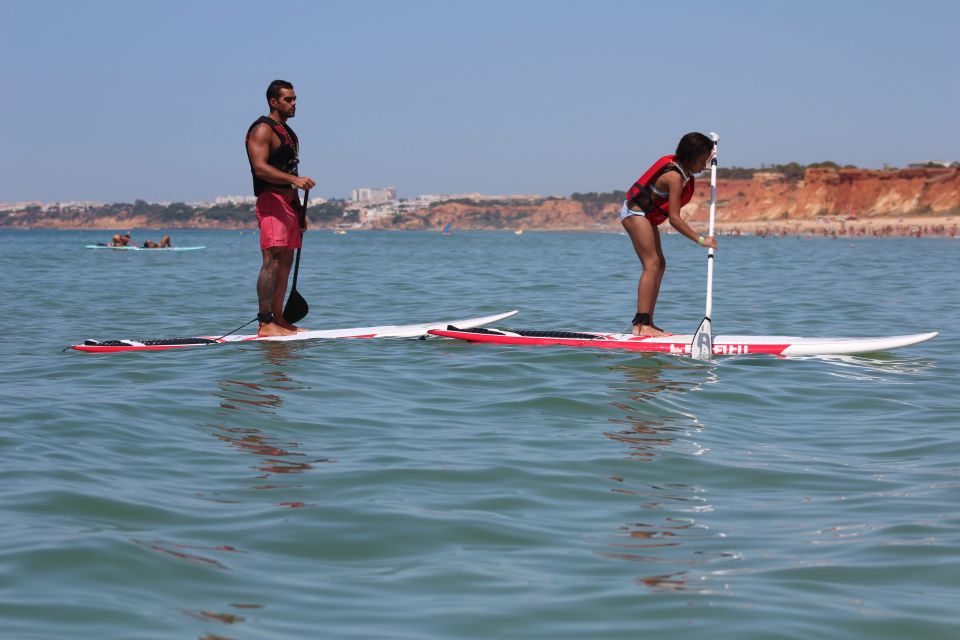 Albufeira: 1 Hour Stand-Up Paddleboard Experience - Key Points
