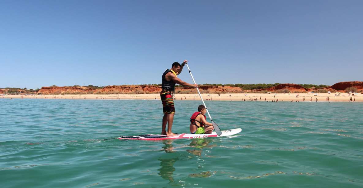 Albufeira: 1 Hour Stand-Up Paddleboard Experience - What to Expect During Your Session