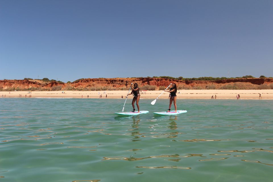 Albufeira: 1 Hour Stand-Up Paddleboard Experience - Tips for a Great Experience