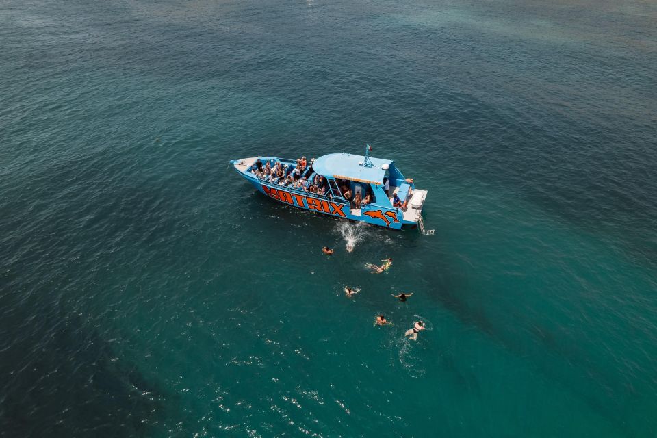 Albufeira: 2.5-Hour Dolphin Watching and Caves Trip - Important Information