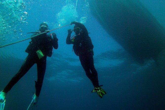 Albufeira 2 Reef Dives (QUALIFIED DIVERS) - Dive Inclusions and Gear