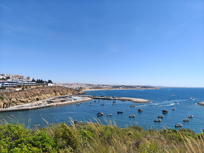 Albufeira: Albufeira Marina & west coast Tour 1.5h - Key Points