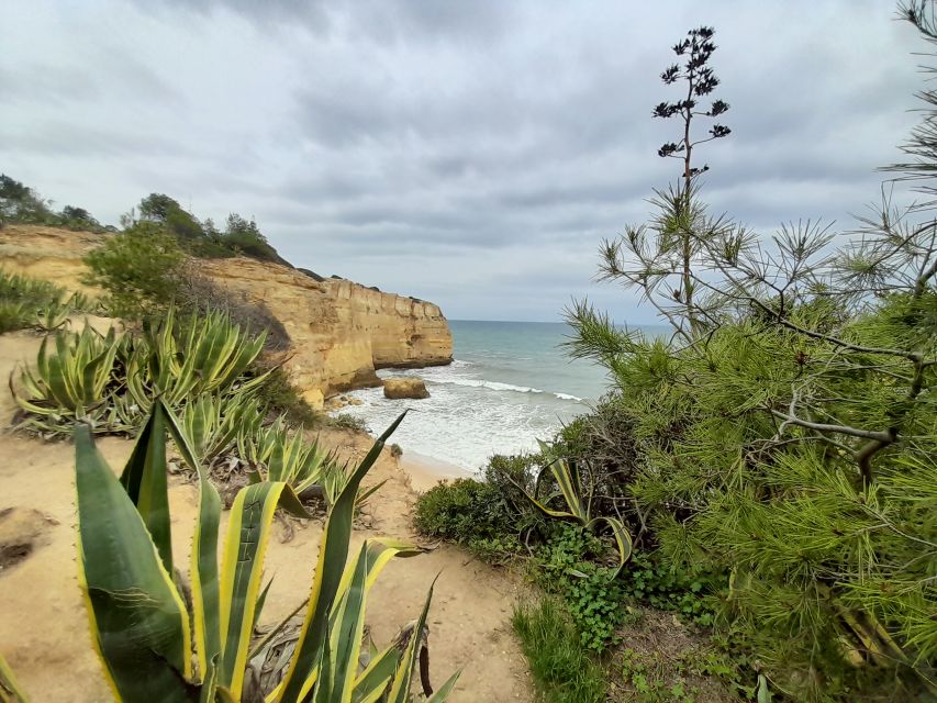 Albufeira: Algarve Cliffs and The Chapel of Bones Tour - Key Highlights