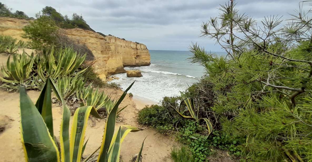 Albufeira: Algarve Cliffs and The Chapel of Bones Tour - Frequently Asked Questions