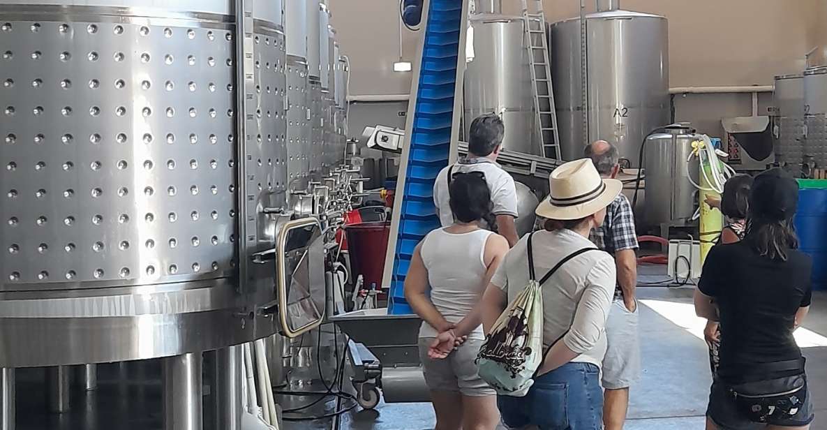 Albufeira: Algarve Coast Guided Tour With Wine Tasting - Highlights of the Tour