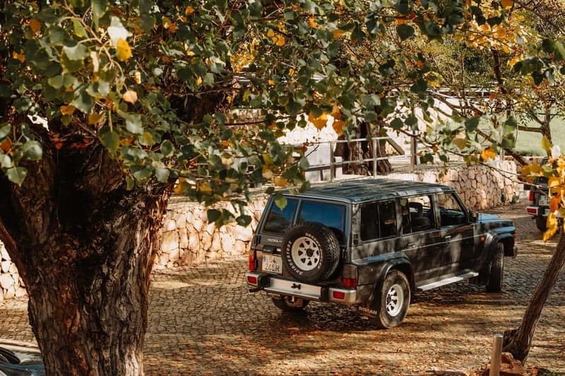 Albufeira: Algarve Wine Tasting, Gastronomical-Cultural Tour - What You Can Expect from the Algarve Wine and Cultural Tour