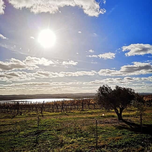 Albufeira: Algarve Wine Tasting, Gastronomical-Cultural Tour - FAQ