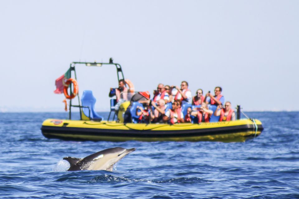 Albufeira: Benagil Caves & Dolphin Watching Speed Boat Tour - Highlights of the Excursion