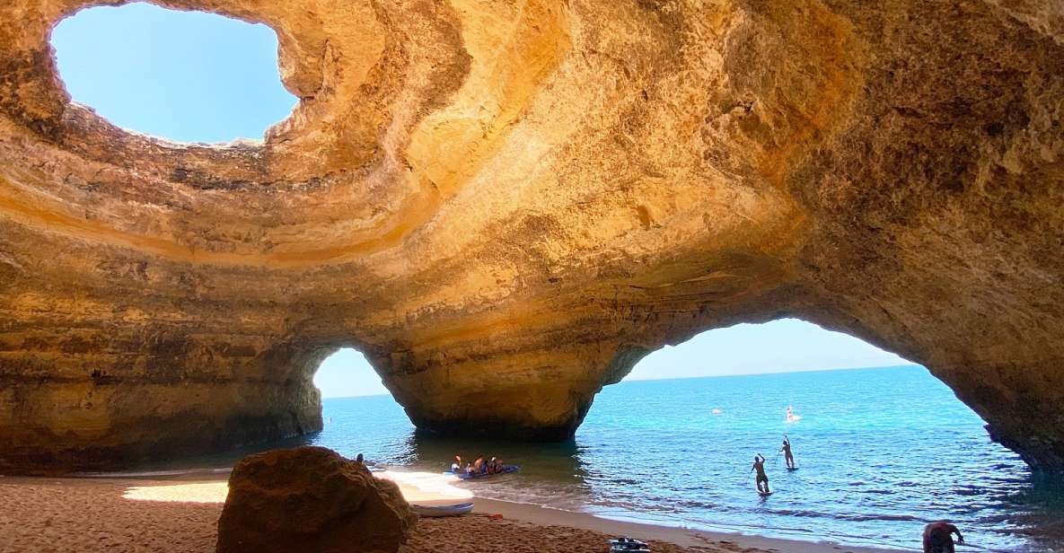 Albufeira: Benagil Caves & Dolphin Watching Speed Boat Tour - Important Considerations