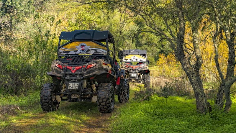 Albufeira: Buggy Adventure through the Algarve Hidden Gems - Who Will Love This Tour?