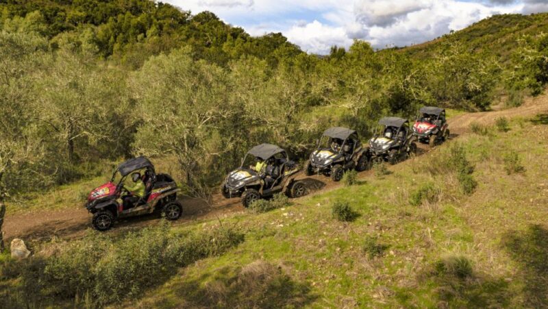 Albufeira: Buggy Adventure through the Algarve Hidden Gems - The Sum Up
