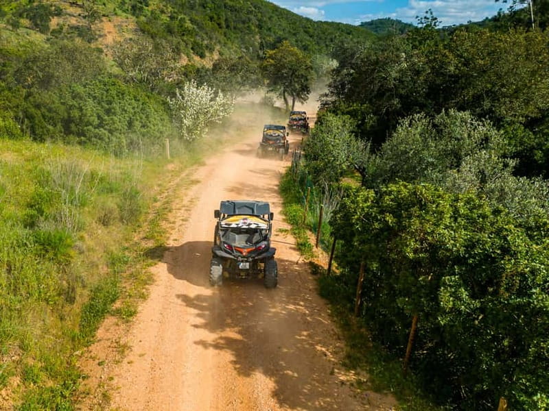 Albufeira: Buggy Adventure through the Algarve Hidden Gems - FAQ