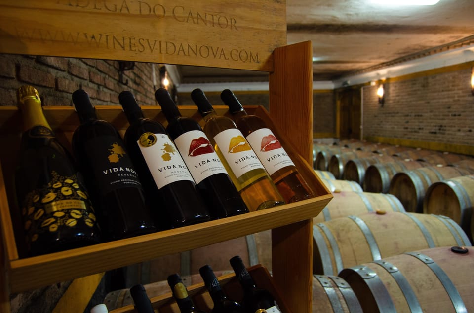 Albufeira: City Highlights & WINE TASTING - A Deeper Look: What to Expect on the Tour