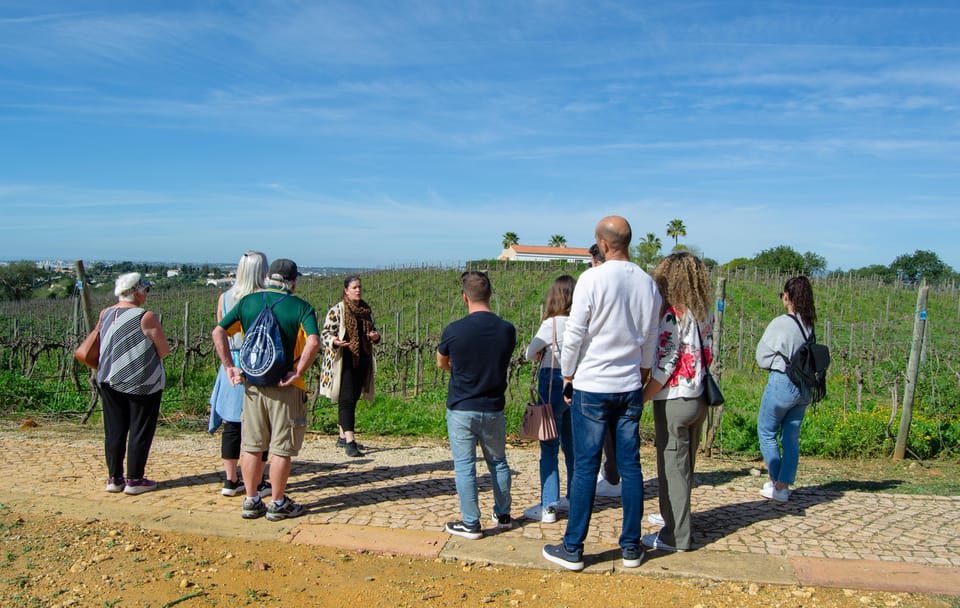 Albufeira: City Highlights & WINE TASTING - Final Thoughts
