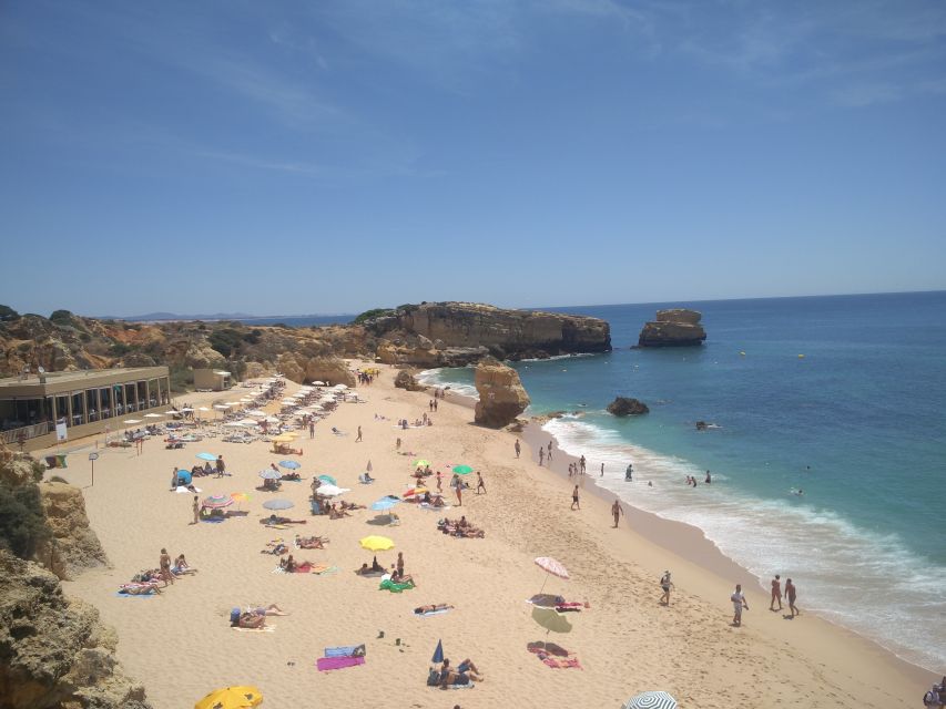 Albufeira: City Sightseeing & Beaches Tour - Customer Feedback