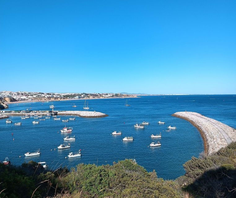 Albufeira Coast: Beach and Sightseeing Tour - What to Bring