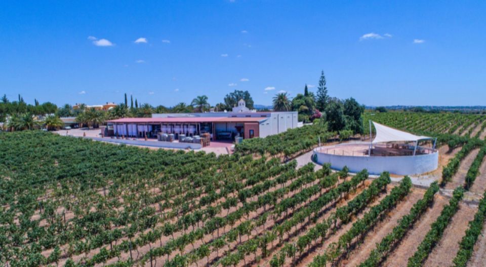 Albufeira Coast Tour, Winery & Chicken lunch - Discover the Best of Albufeira: Coast, Wine, and Chicken