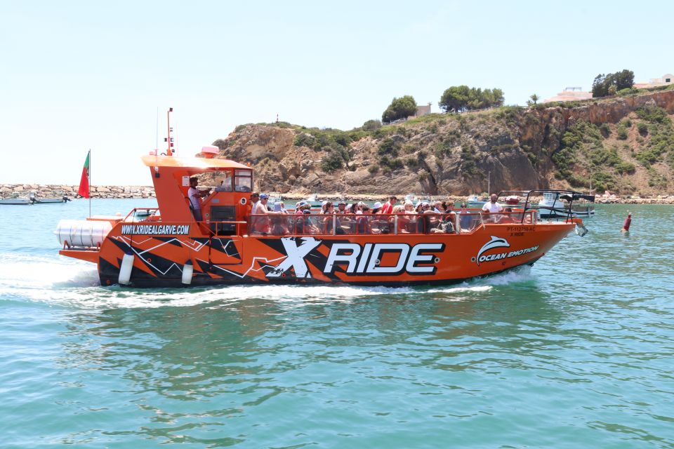 Albufeira: Dolphin Watching and Benagil Cave - An In-Depth Look at the Tour Experience