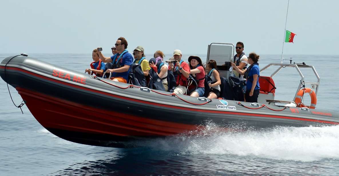 Albufeira: Dolphin Watching and Benagil Cave Boat Cruise - Languages and Inclusions