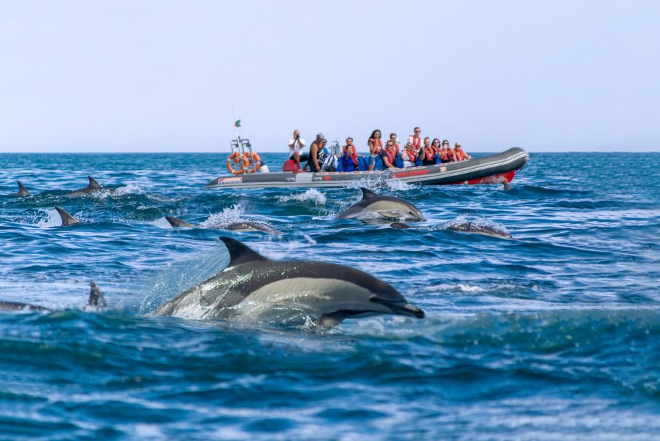 Albufeira: Dolphins, Benagil Caves and Coastline Boat Tour - Dramatic Algarve Coastline