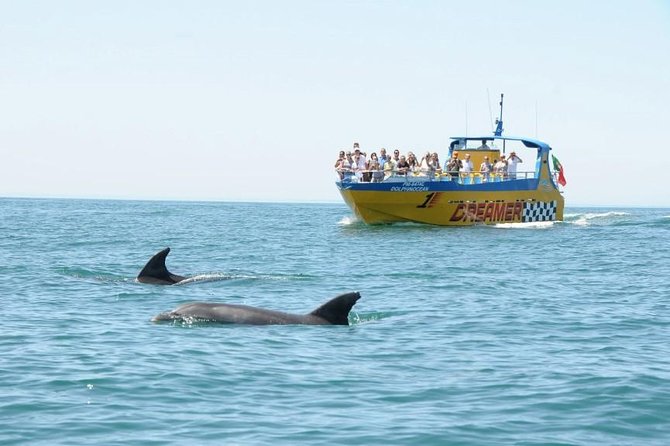 Albufeira Dreamer Boat Trip - Booking Information