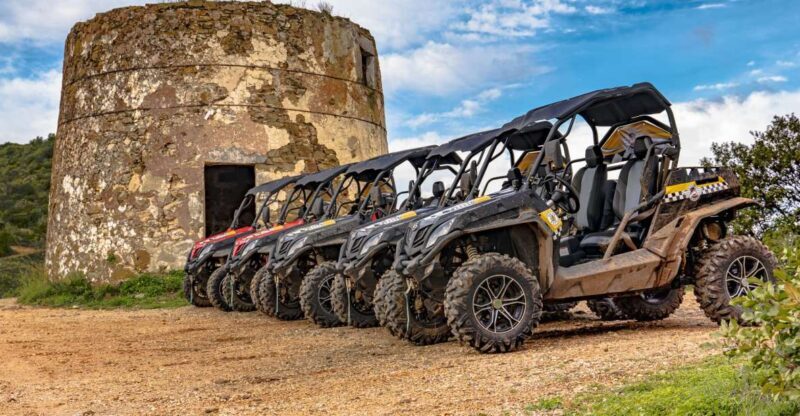 Albufeira: Full-Day Buggy Driving Tour with Lunch Included - Key Points