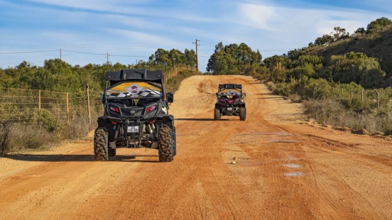 Albufeira: Full-Day Buggy Driving Tour with Lunch Included - Final Thoughts