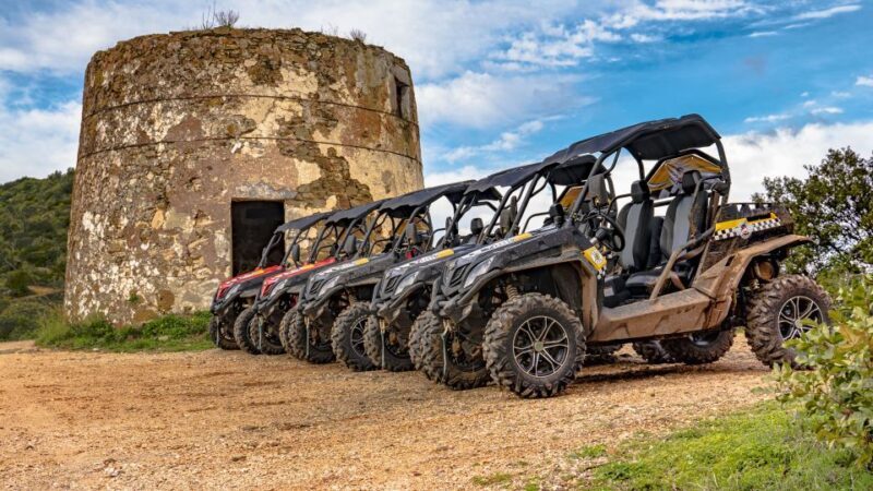 Albufeira: Full-Day Buggy Driving Tour with Lunch Included - Who Should Book This Tour?