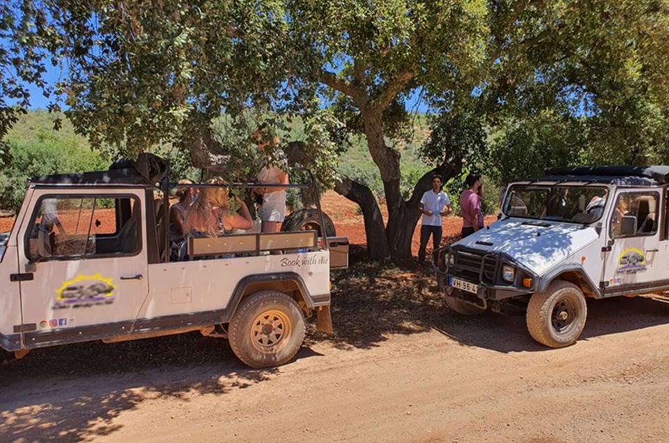 Albufeira: Full Day Safari Excursion in Algarve Mountains - Savoring Local Fruit and Produce