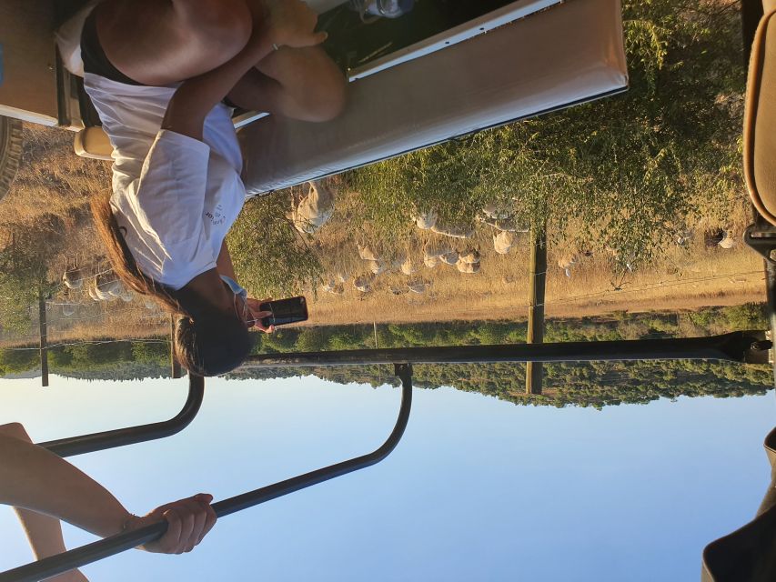 Albufeira: Full Day Safari Excursion in Algarve Mountains - Uncovering Roman Water Irrigation System
