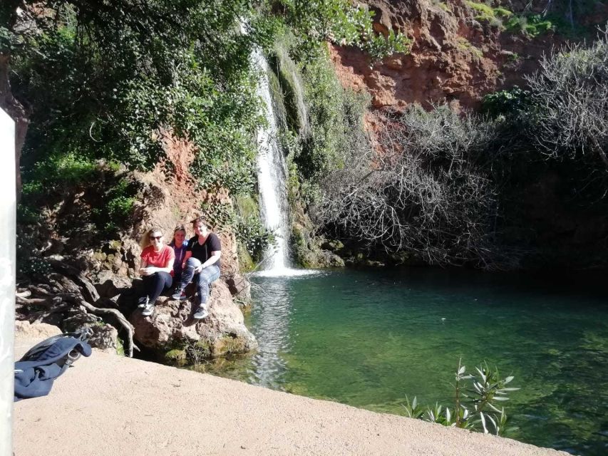 Albufeira: Half-Day Algarve Jeep Safari - Positive Testimonials