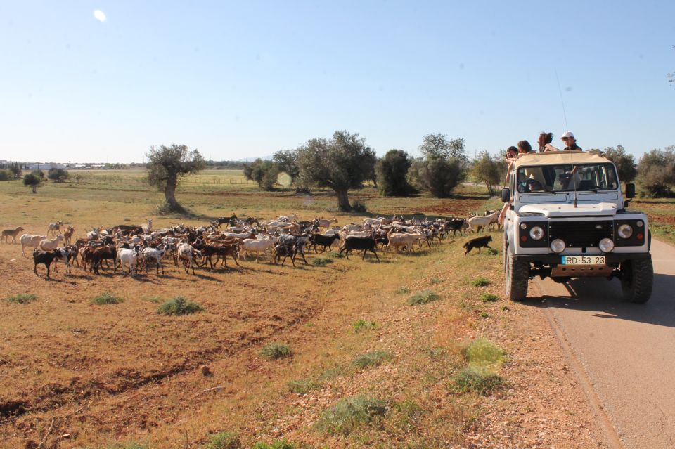 Albufeira: Jeep Safari Half-Day Countryside Tour - Itinerary Highlights