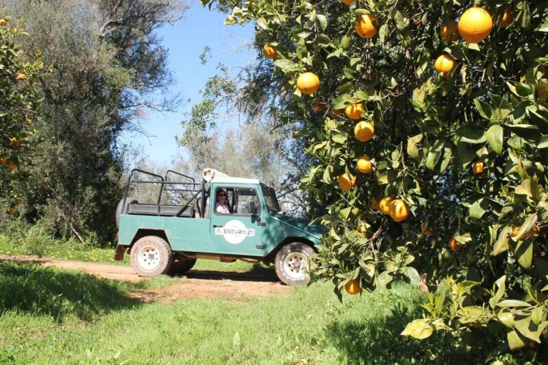 Albufeira Jeep Safari with Zoo - Final Thoughts