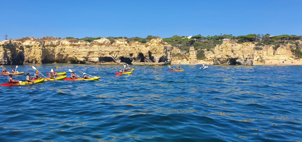 Albufeira Marina: Benagil Cave to Marinha Beach Kayak Tour - Final Thoughts: Who Will Love This Tour?