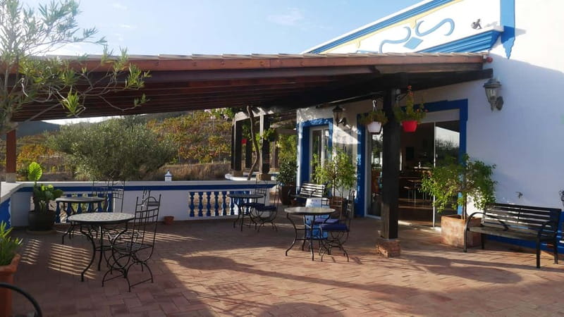 Albufeira, Olhão, Faro: visit to a vineyard, free time in Silves - Introduction