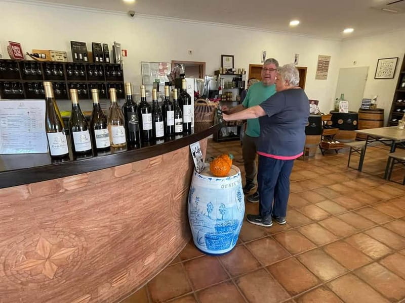Albufeira, Olhão, Faro: visit to a vineyard, free time in Silves - Detailed Breakdown of the Itinerary