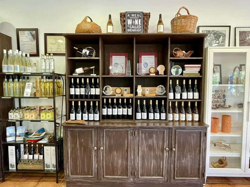 Albufeira, Olhão, Faro: visit to a vineyard, free time in Silves - Who Will Appreciate This Tour?