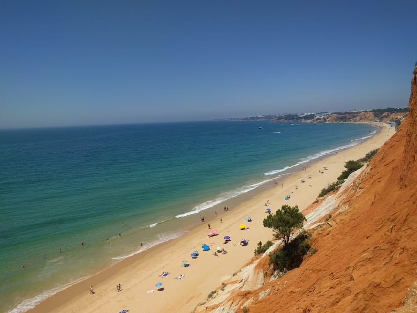 Albufeira Private Tours - Transportation and Group Size